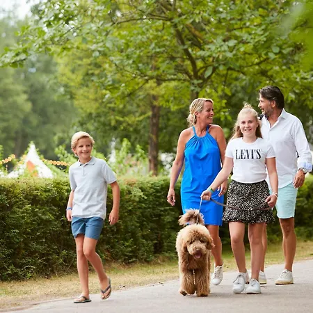 Forest 6 Persons #713 Holiday home